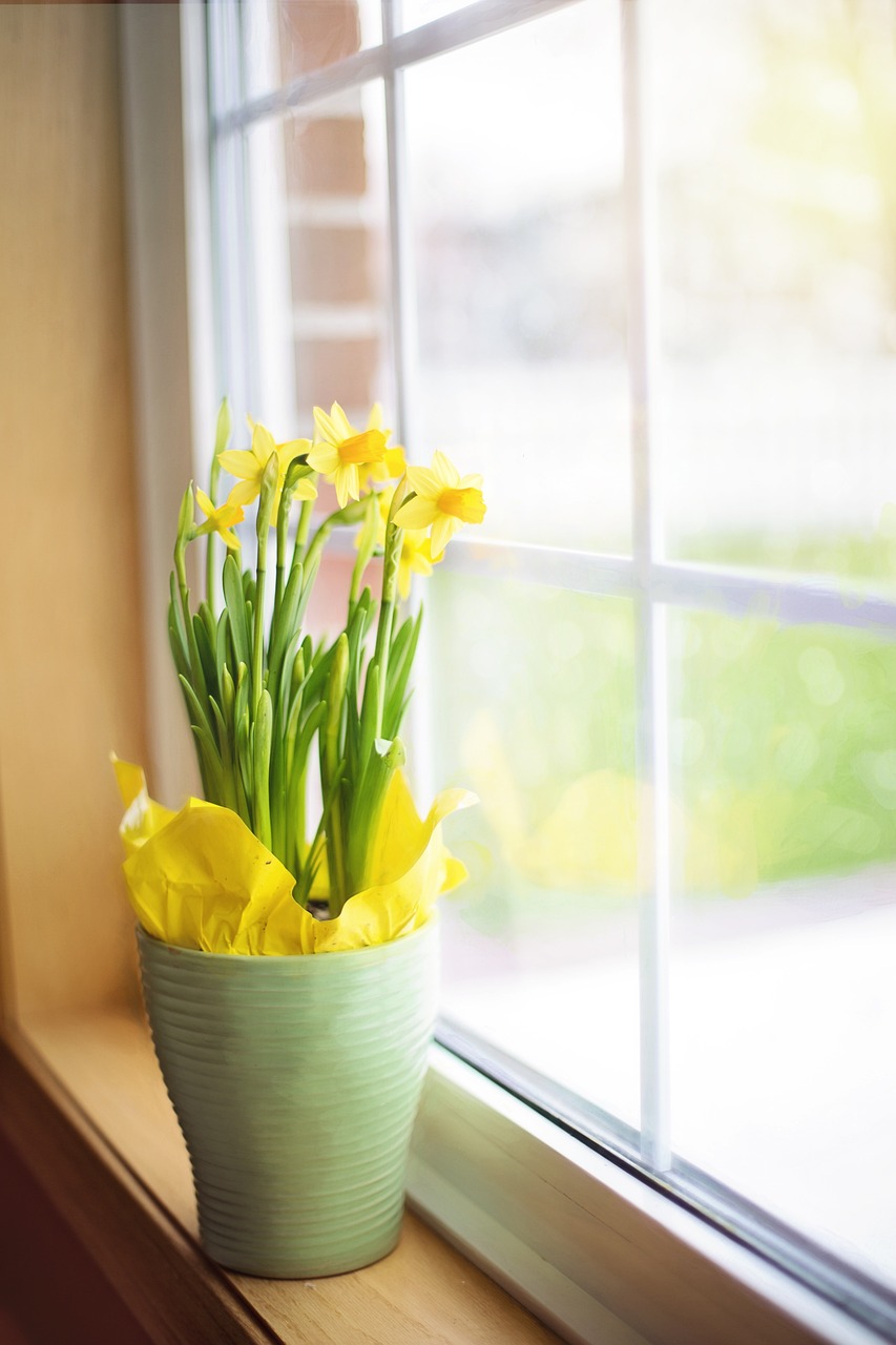 The Ultimate Guide to Cleaning Window Sills